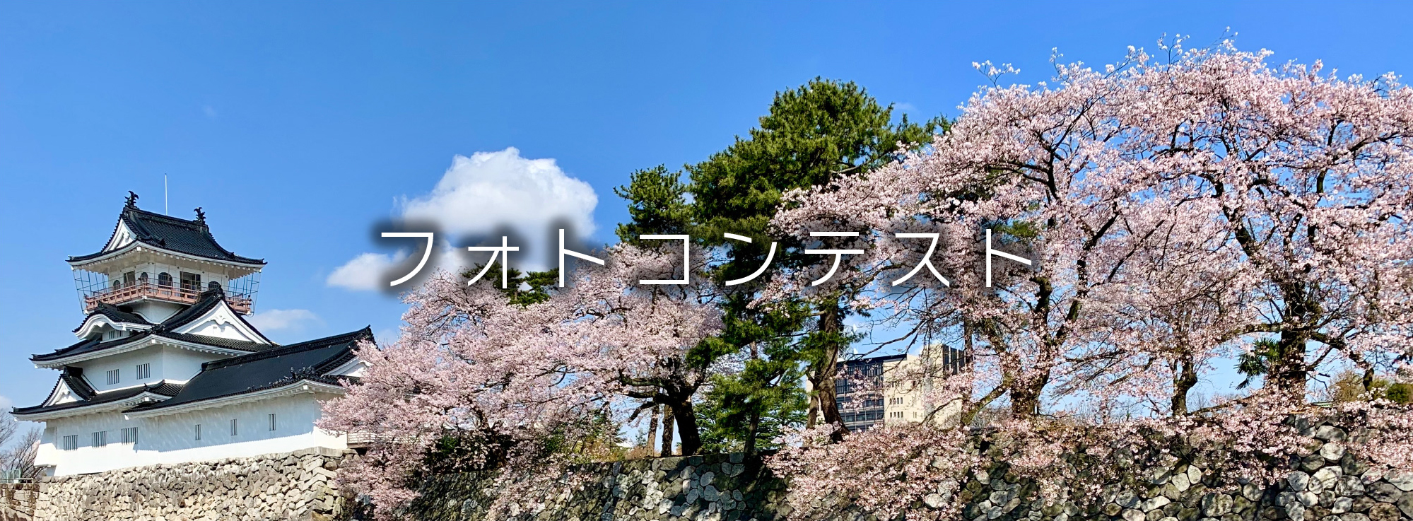 フォトコンテスト